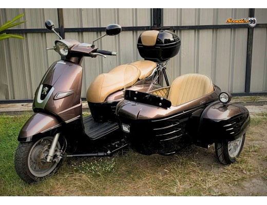 Sidecar Kit for Peugeot Django Retro Edition